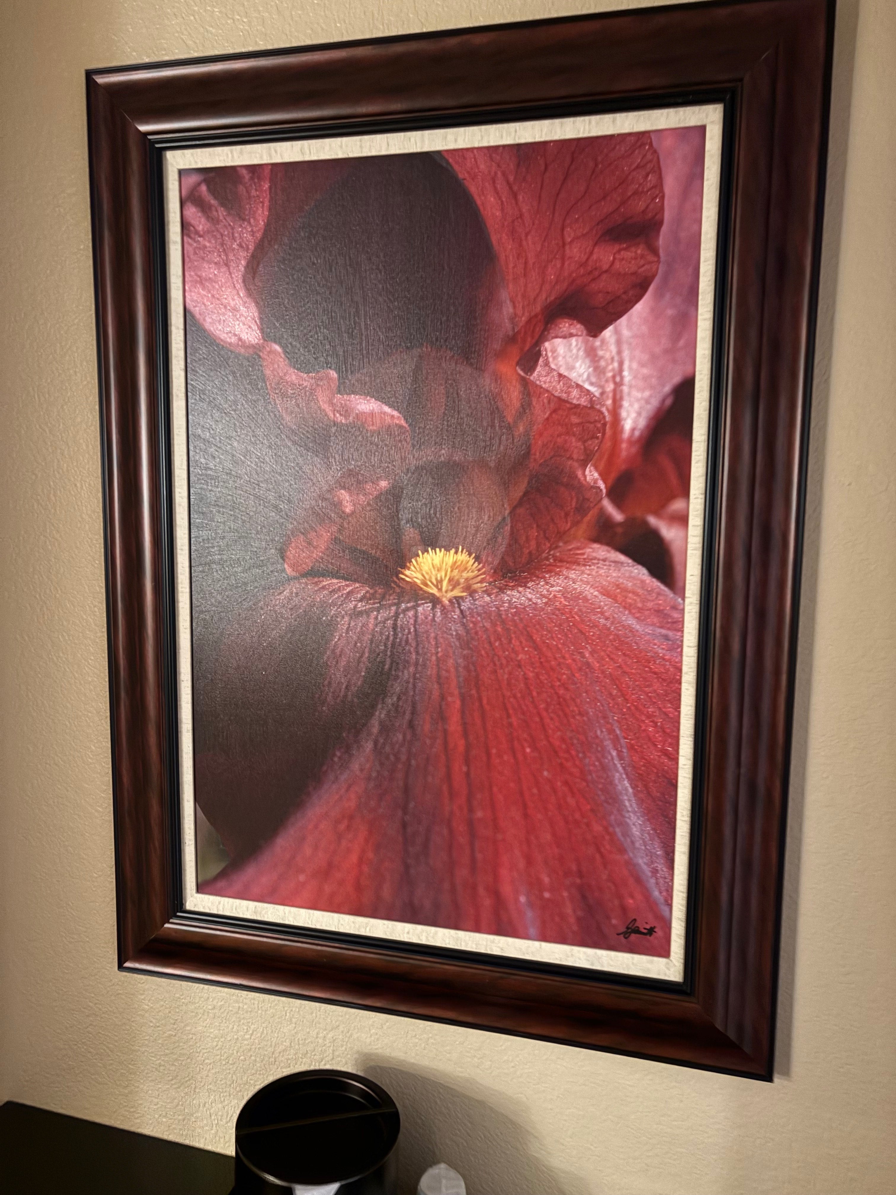 Rosen Shingle Creek - Orlando, FL.