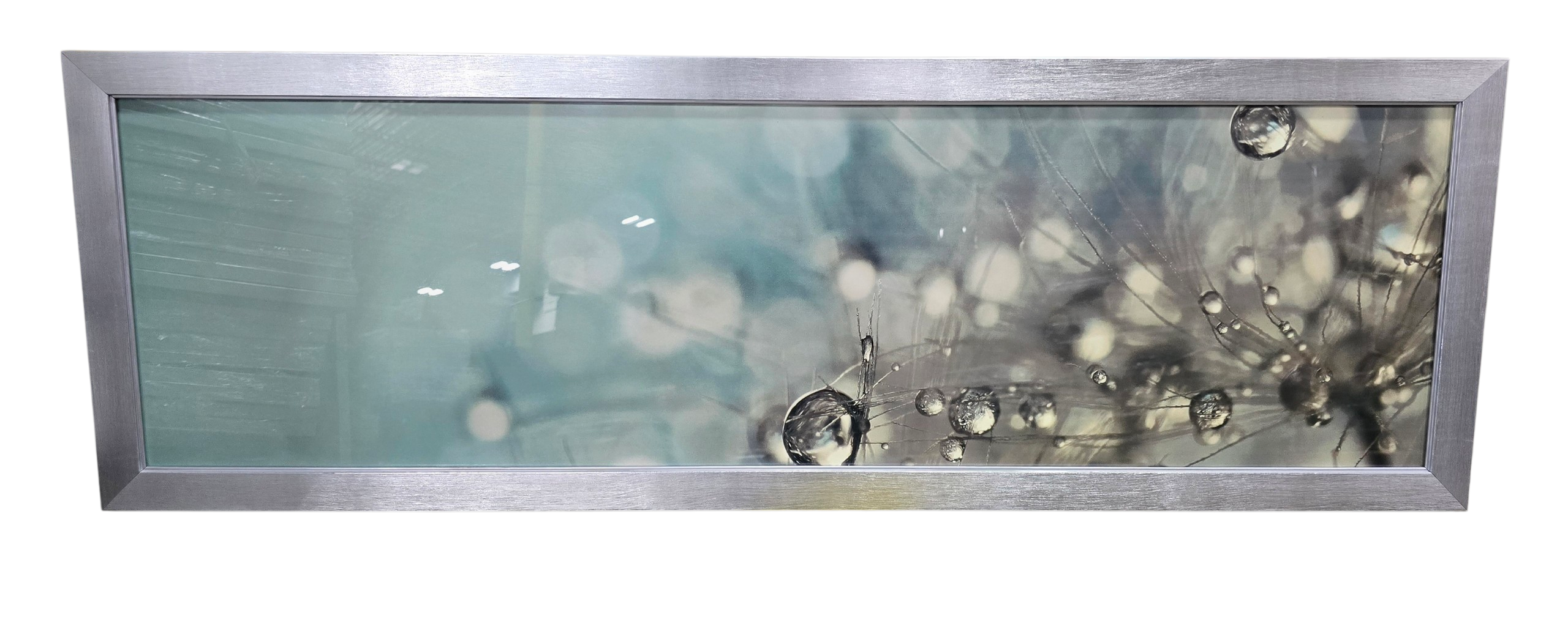 Panoramic wall print featuring close up dandelion covered in water droplets measuring 47 3/4 x 15 3/4, used and in good condition