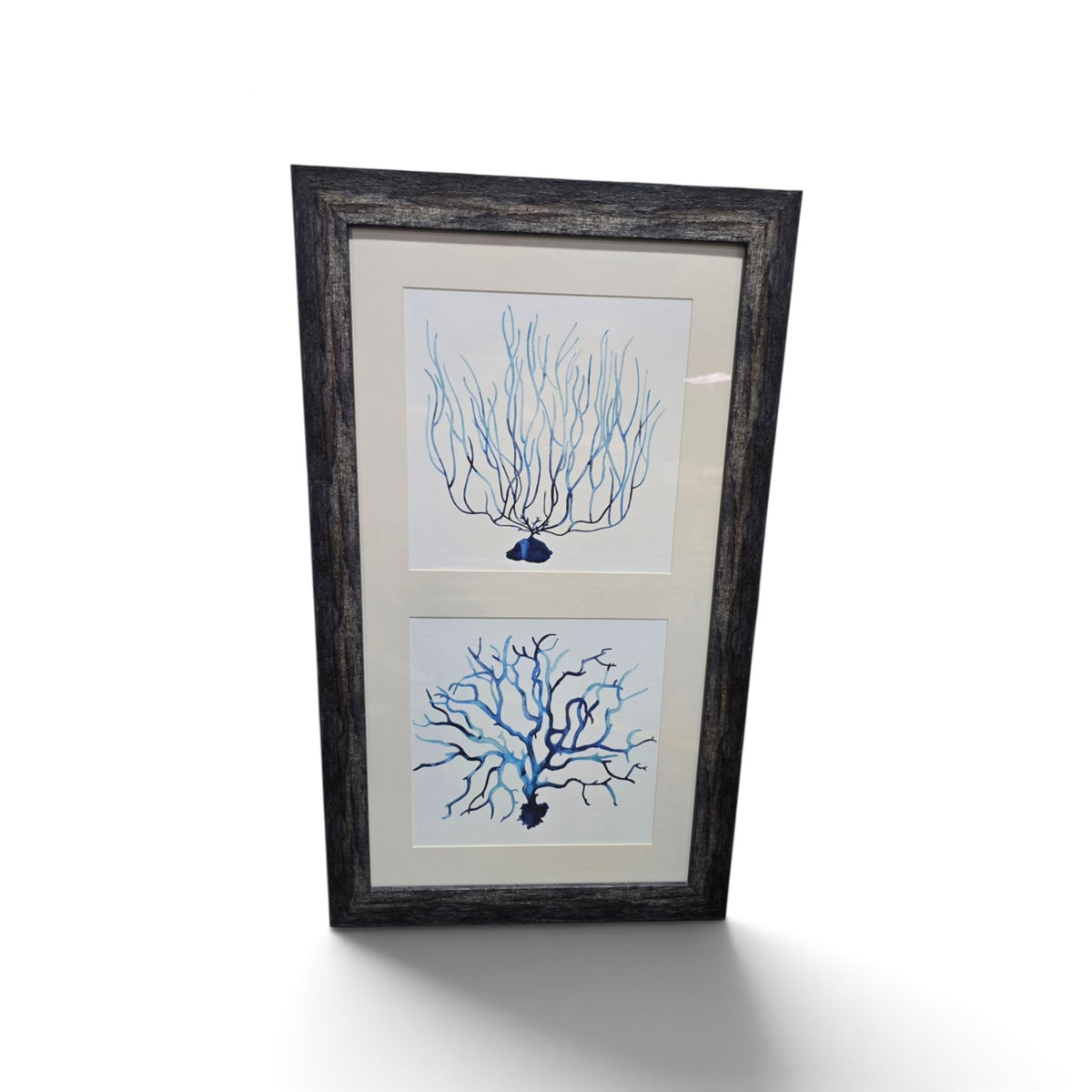 Framed Blue Coral Artwork