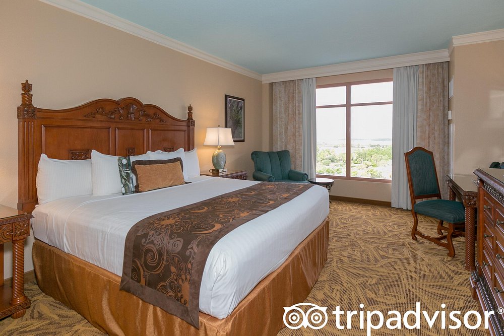 Rosen Shingle Creek - Orlando, FL.