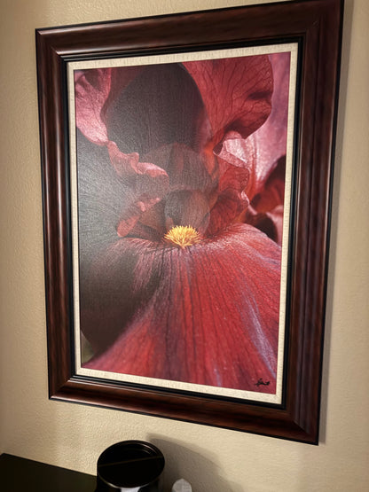 Rosen Shingle Creek - Orlando, FL.