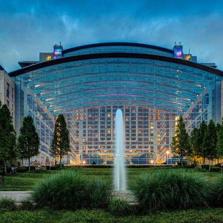Gaylord, National, Resort, Liquidated, Southern, Hospitality, Liquidation, Liquidator