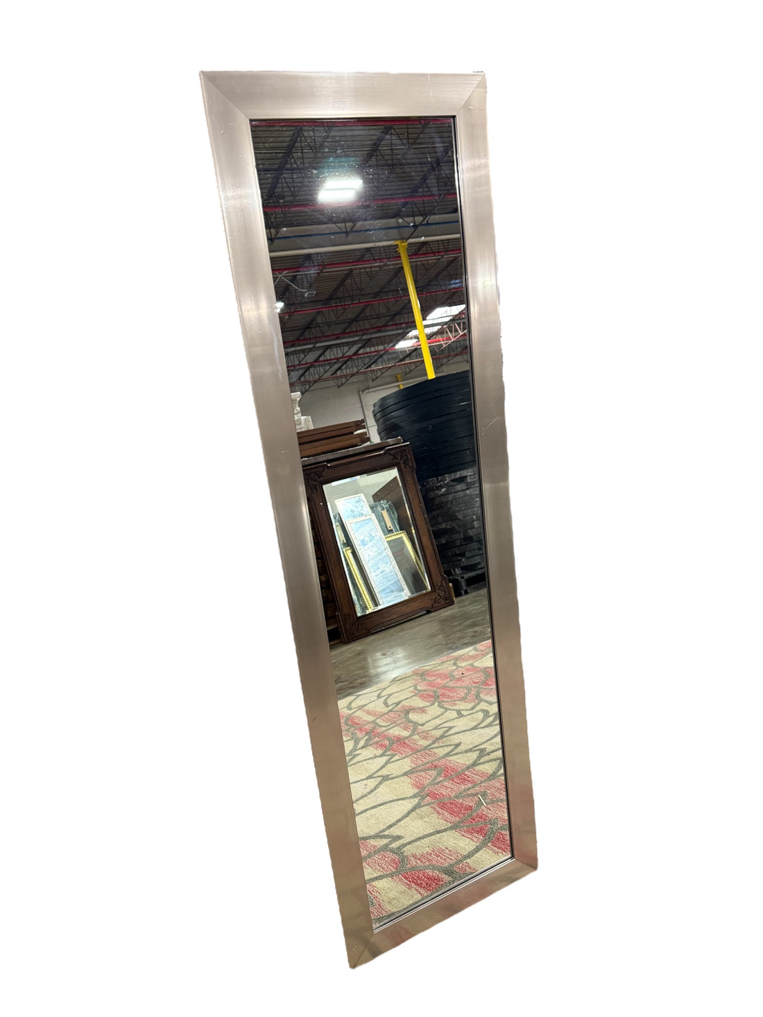 16&quot; X 66.5&quot; Dress Mirror