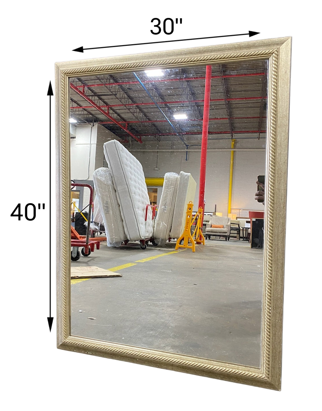 40 X 30 Gold Rope Trim Mirror