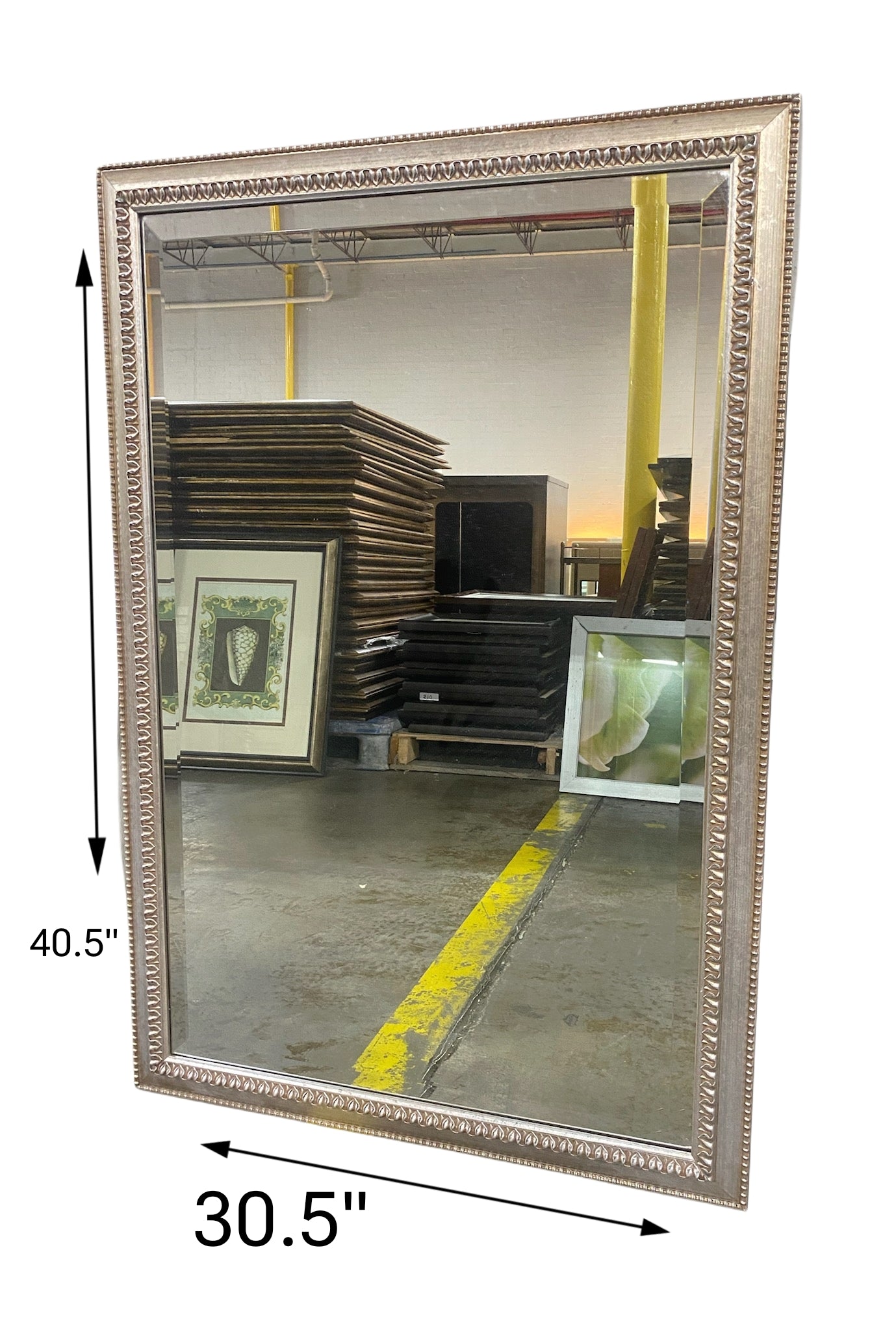 30.5 X 40.5 Deco Metallic Mirror- L