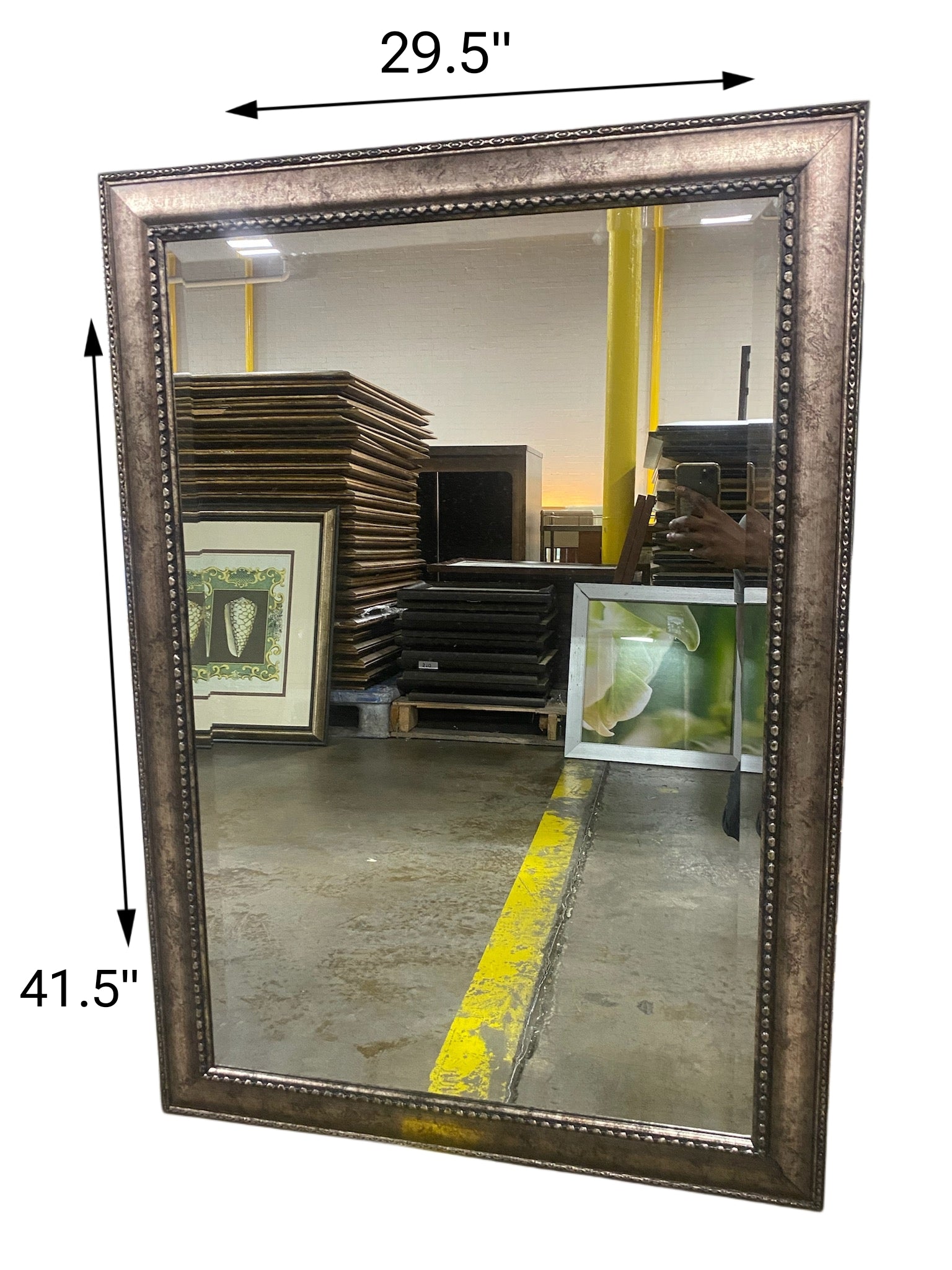 Bronze/Bead Trim Mirror