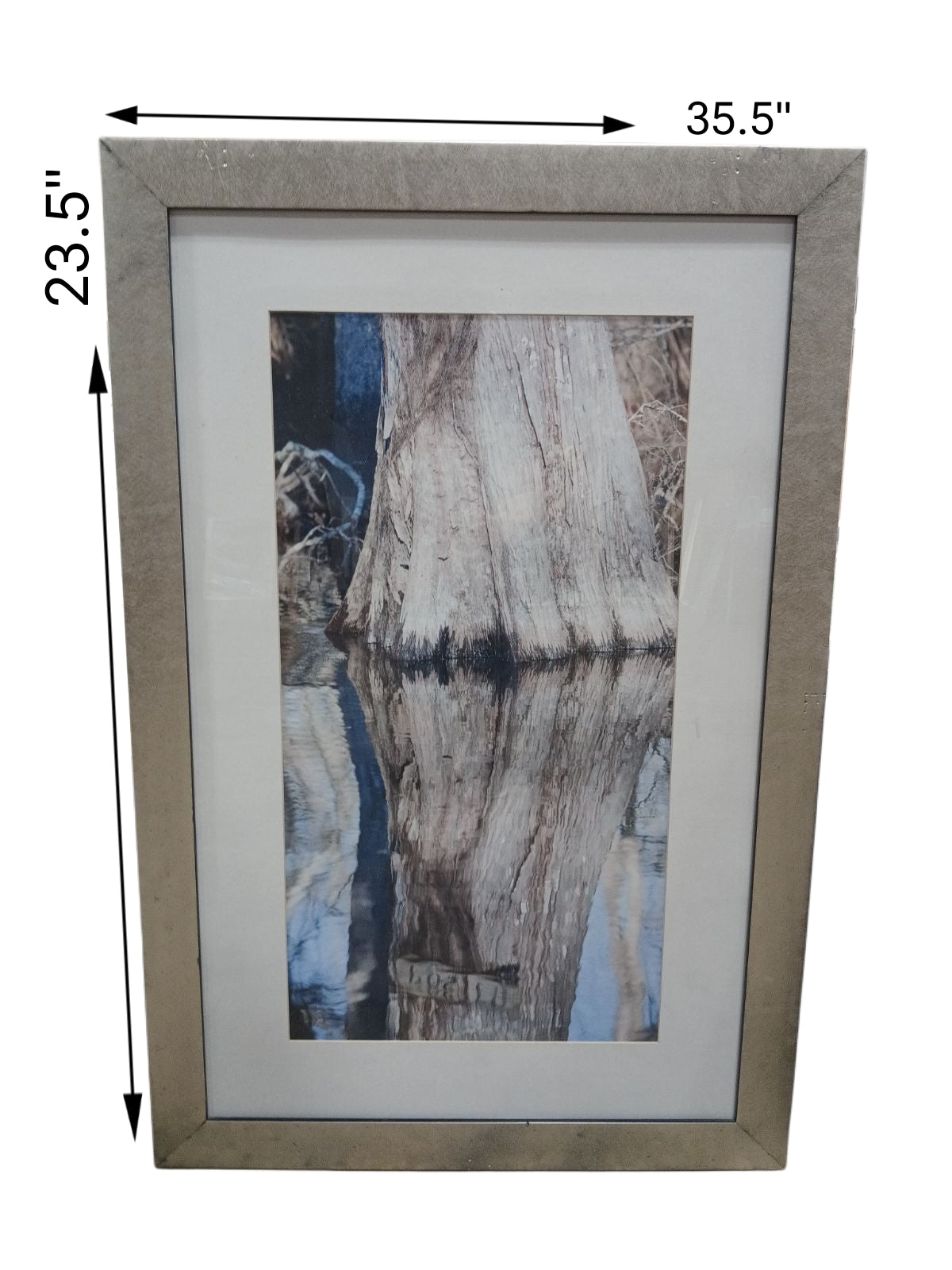 23.5 X 35.5 Reflective Stump with Silver Frame