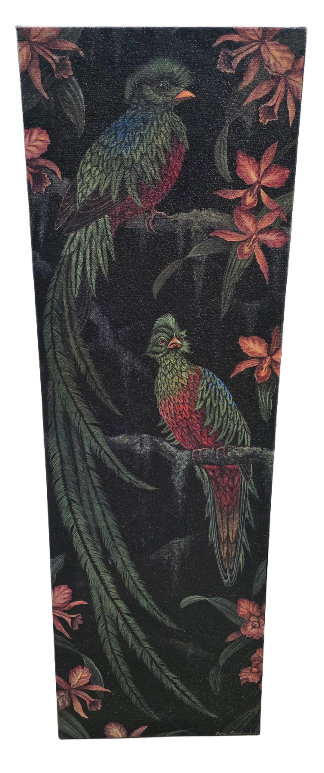 12 X 36 Tropical Bird Art