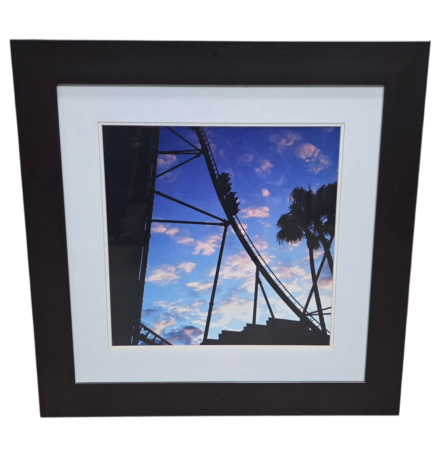 Black framed print of people on a roller coaster measuring 29.5 x 29.5, used and in good condition