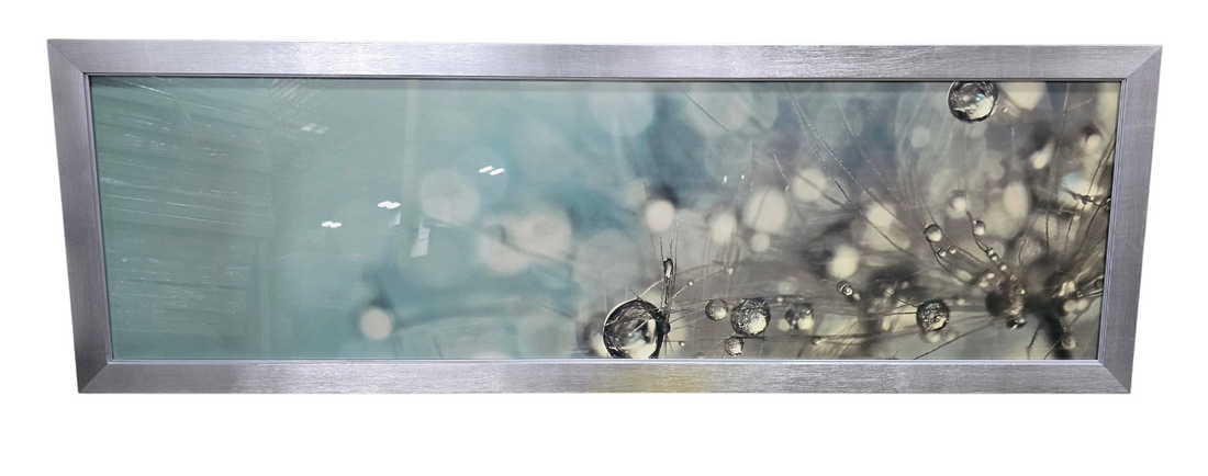 Panoramic wall print featuring close up dandelion covered in water droplets measuring 47 3/4 x 15 3/4, used and in good condition