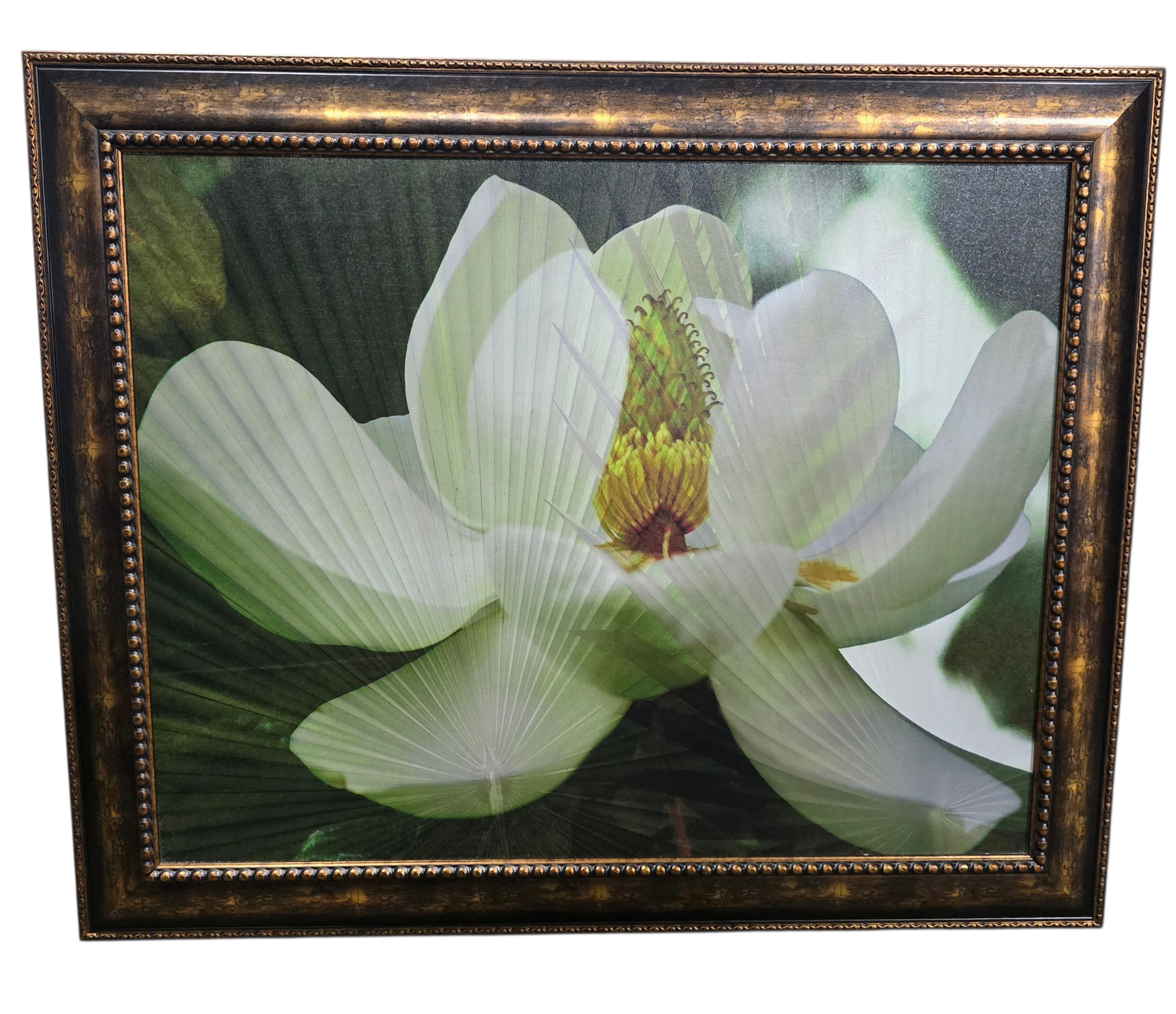 Framed lotus flower wall art measuring 44.5 x 36.5, used and in good condition