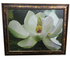 Framed lotus flower wall art measuring 44.5 x 36.5, used and in good condition