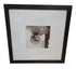 SHL used framed wall art print featuring a vintage crest, antique map details, and decorative ironwork accents with white matting and a dark wood-tone frame measuring 19.75 inches by 19.75 inches.