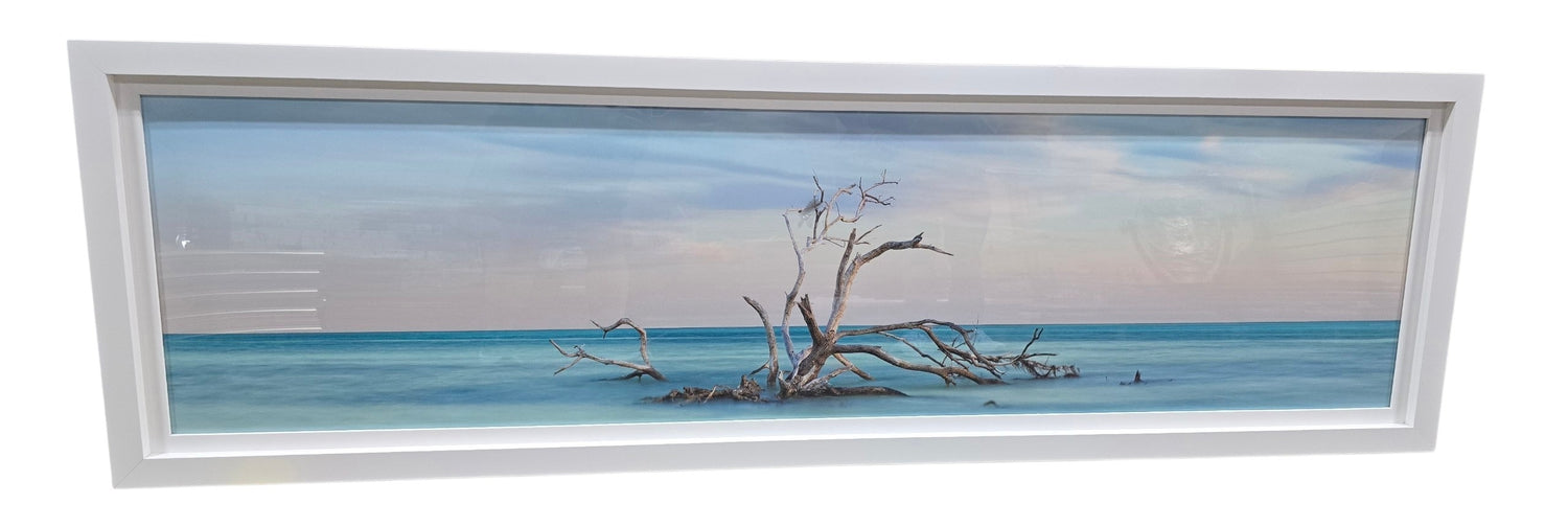 SHL panoramic coastal driftwood wall art featuring weathered tree branches in blue ocean water with white frame measuring 81.5 x 24.5 used in good condition