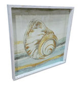 Coastal shell wall art with white frame, used and in good condition – SHL Cartersville GA