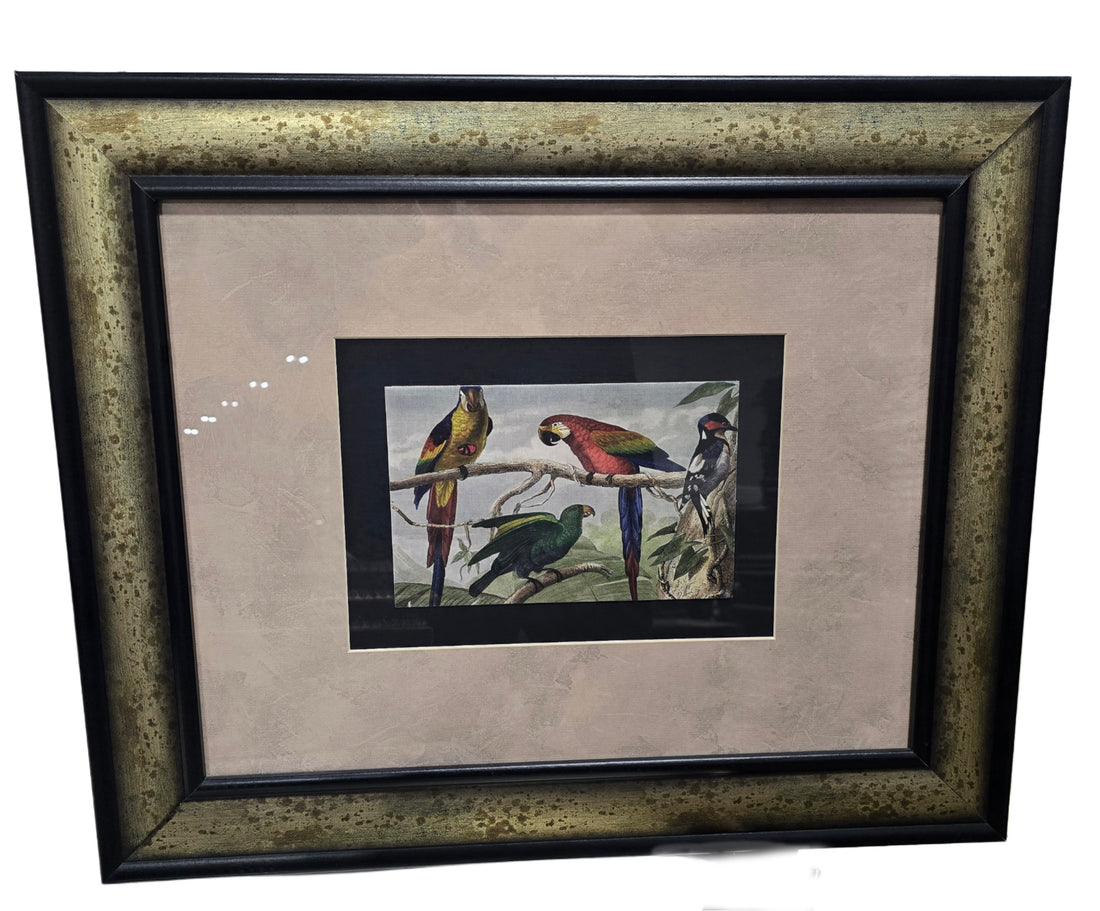 Exotic bird artwork, 24 x 20, pre-owned hotel wall décor from SHL Cartersville GA serving Northwest Georgia.