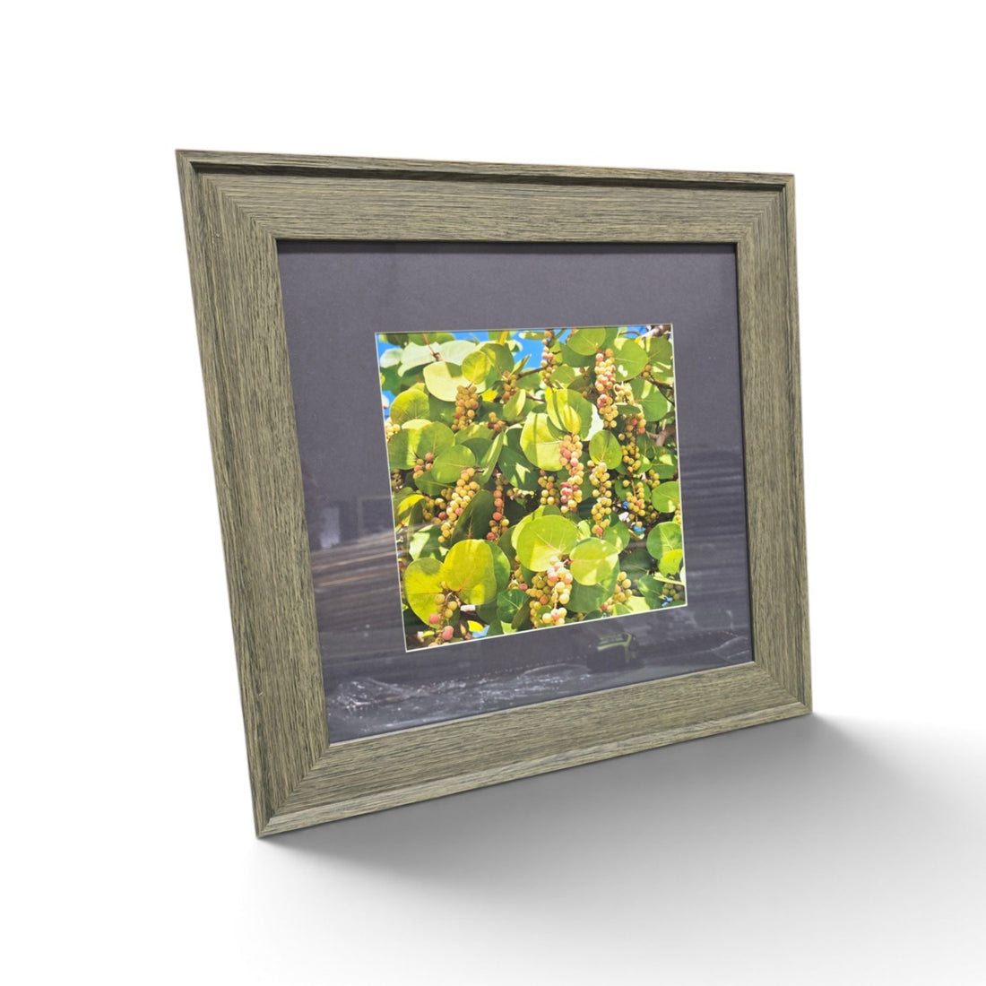 Framed tropical botanical photograph showing green foliage and colorful berry clusters with weathered gray frame
