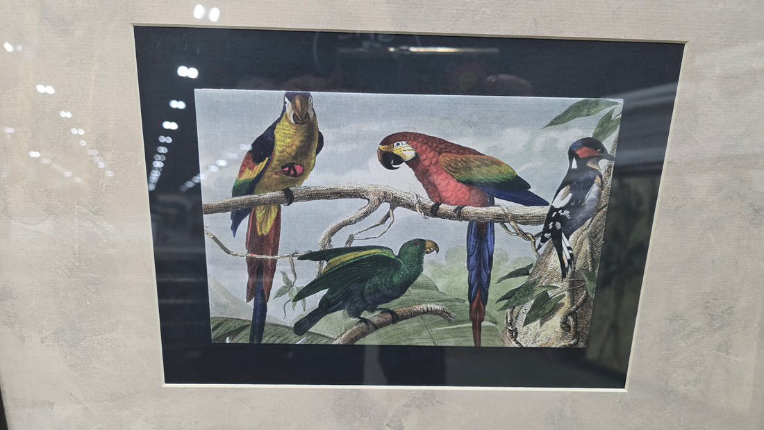 Hotel wall art featuring exotic bird design, 24 x 20, SHL Cartersville GA serving Northwest Georgia.