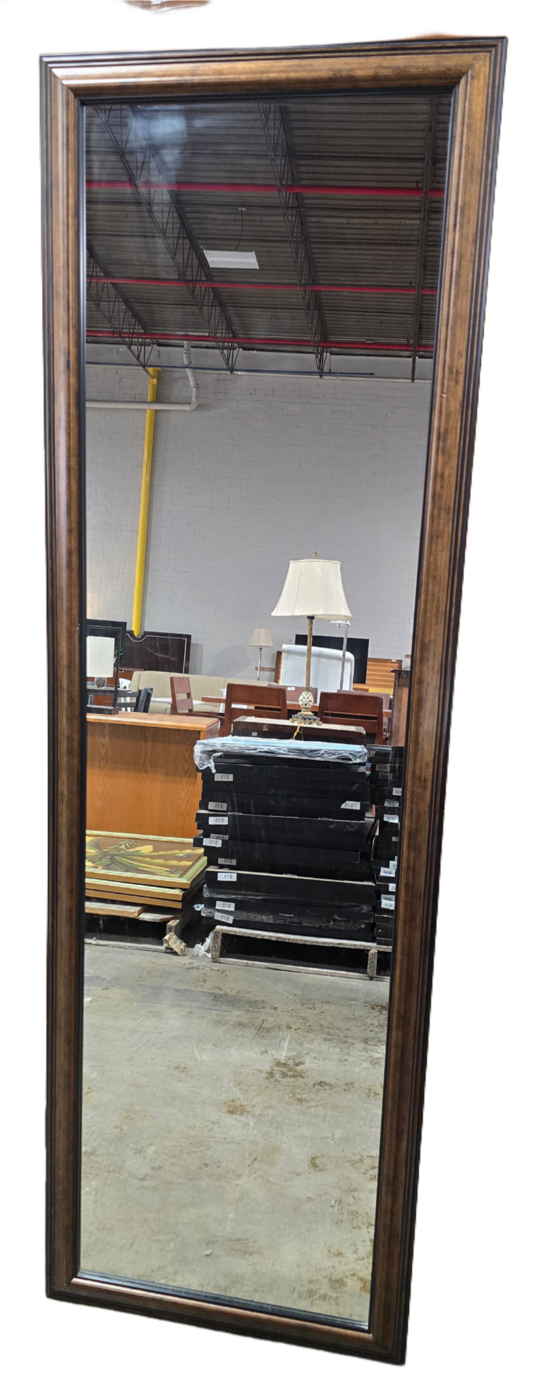 22.5&quot; X 70.5&quot; Dressing Mirror