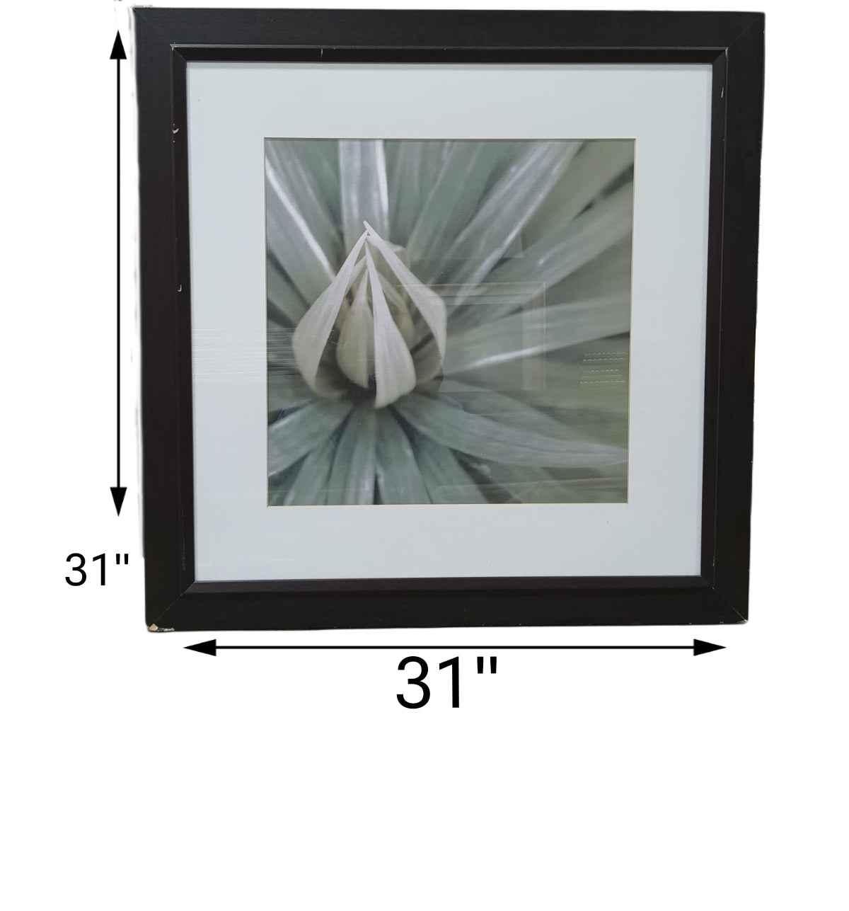 31 X 31 Floral Art with Black Frame