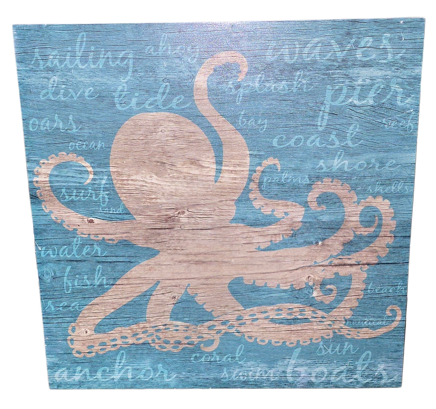 24&quot; X 24&quot; Octopus