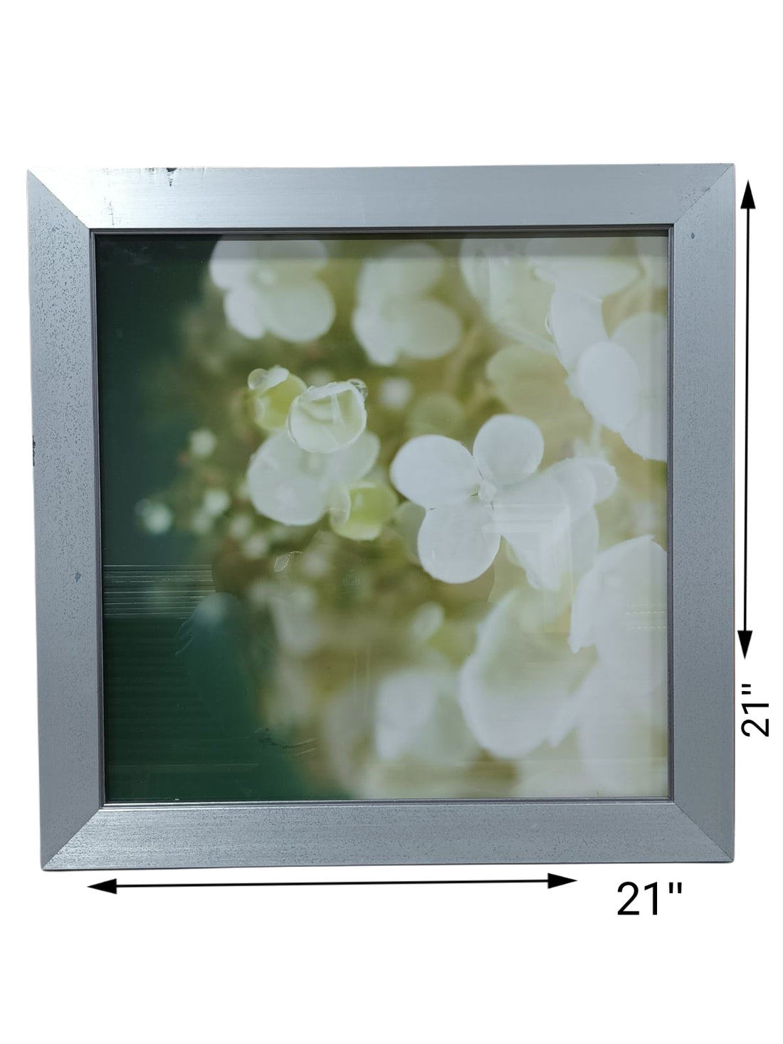 21 X 21 White Floral Silver Framed Art