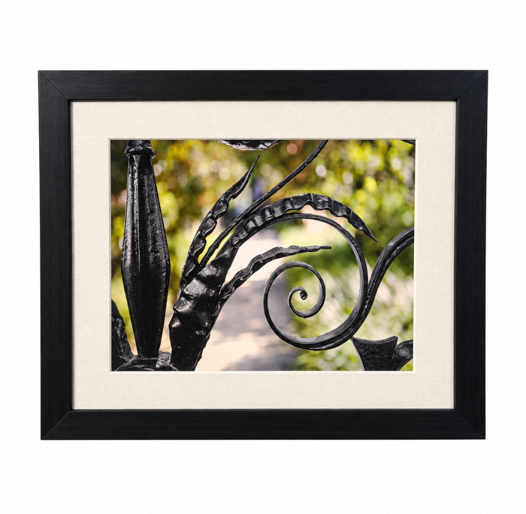 Wrought Iron Scrollwork Photography
