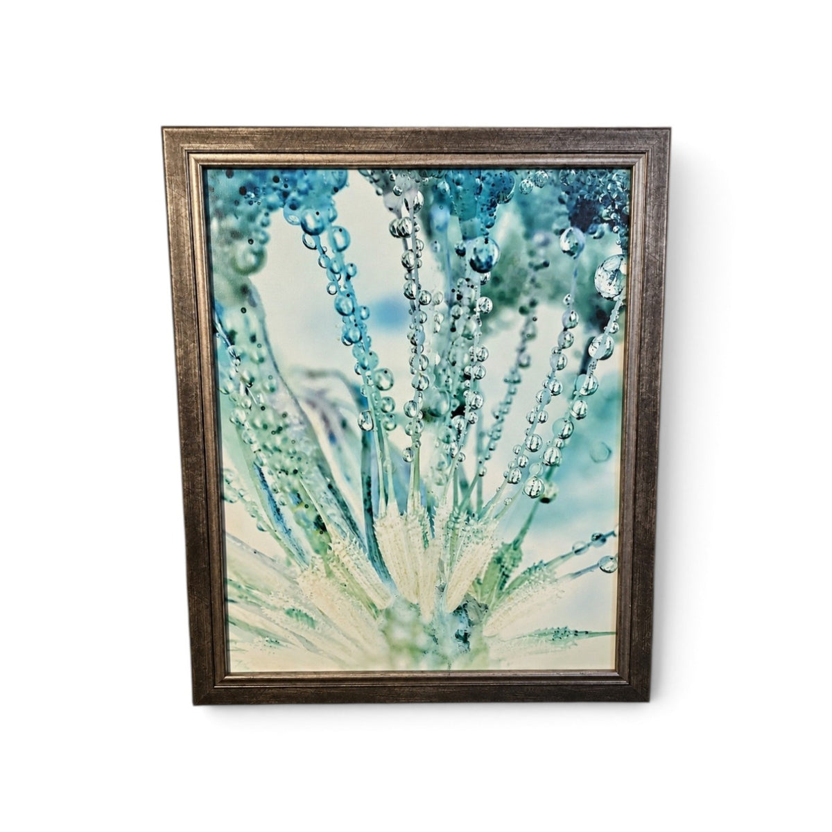 Used SHL framed aqua water droplets botanical photograph 24x30