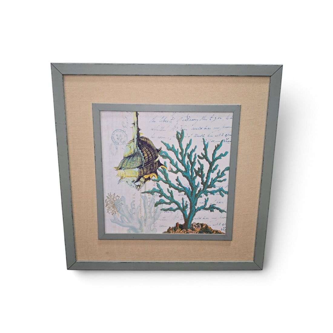 Used framed coastal shell and coral artwork with gray frame and beige mat, SHL