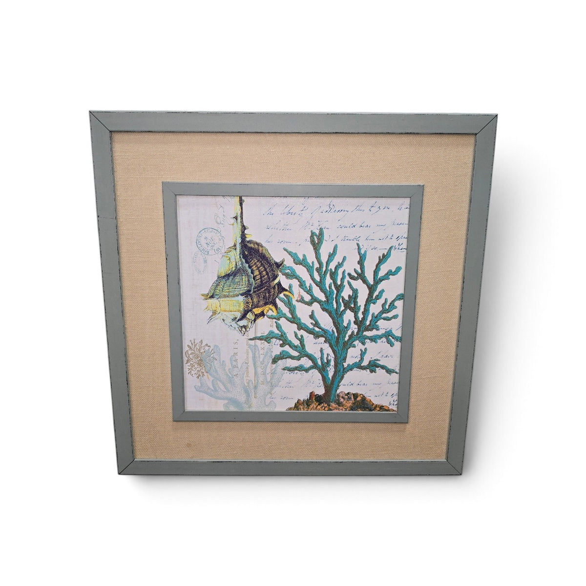 Used framed coastal shell and coral artwork with gray frame and beige mat, SHL