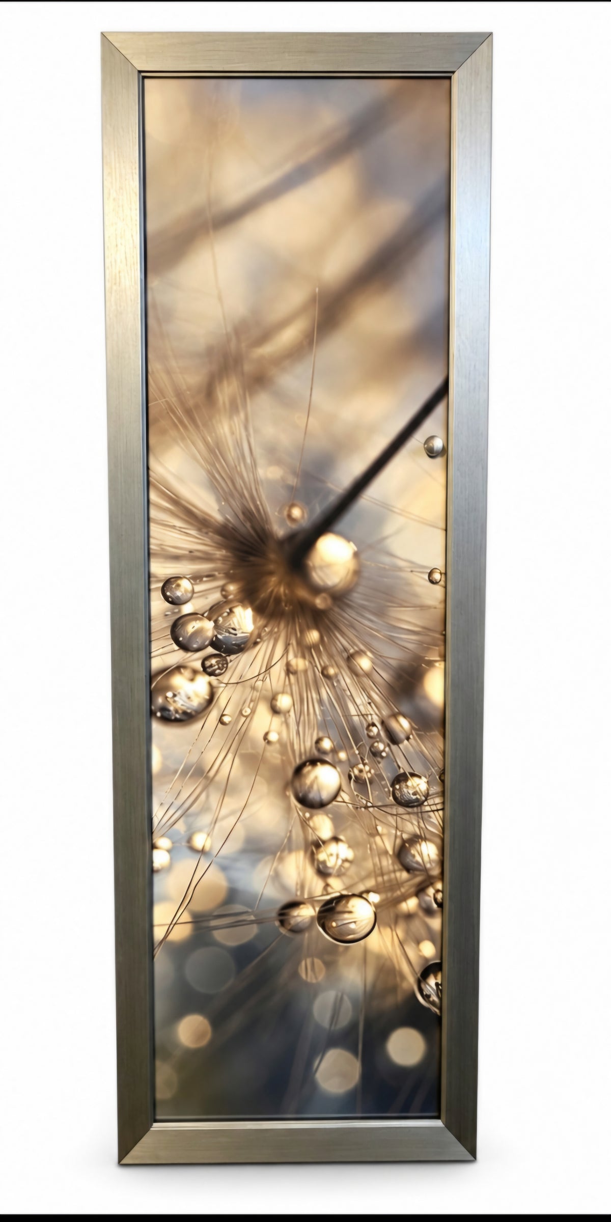 Used SHL framed dandelion with dew drops photography 16x47