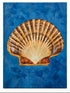Used scallop shell canvas print with blue background, 29.5 x 39.5 inches, coastal wall art, SHL