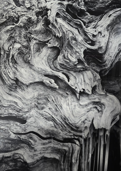 Close-up of the natural wood grain design featured in a quality used framed abstract wall art piece sourced from an upscale resort.