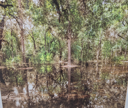 Close-up of a serene forest reflection landscape in a quality used framed artwork sourced from an upscale resort