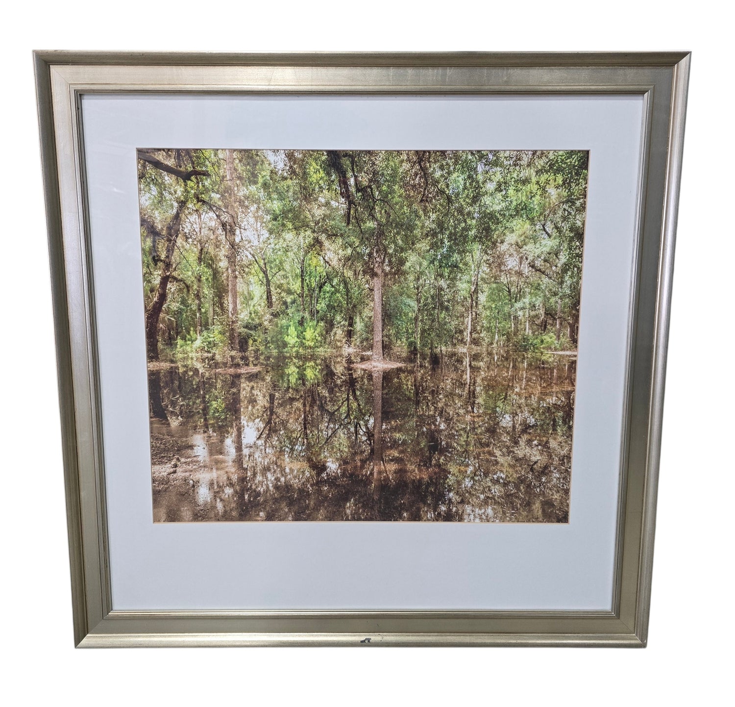 Used framed forest reflection landscape wall art from Southern Hospitality Liquidation