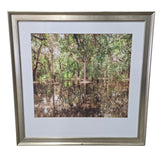 Used framed forest reflection landscape wall art from Southern Hospitality Liquidation