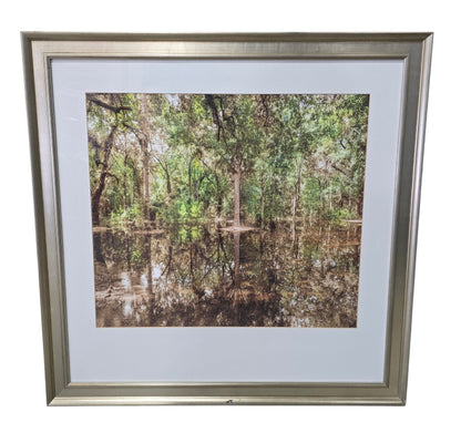 Used framed forest reflection landscape wall art from Southern Hospitality Liquidation