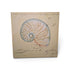 Used vintage nautilus shell canvas print with blue and beige shell illustration, 23.5 x 23.5 inches, SHL